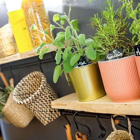Ibis De Provence فندق سالو دو بروفونْسْ