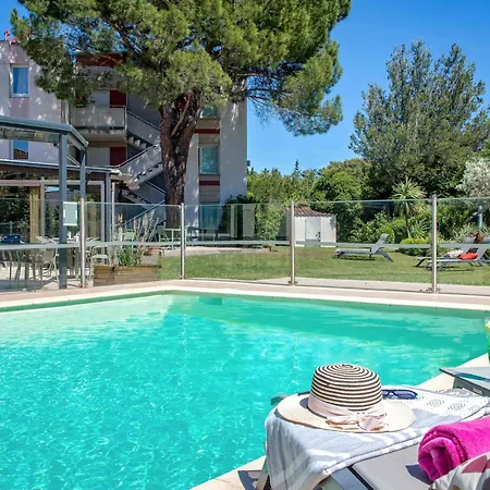 Ibis De Provence