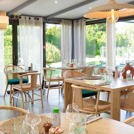 Ibis De Provence